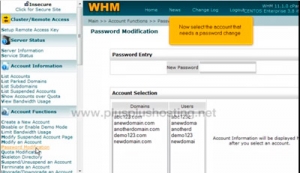 How to change an account password in WHM